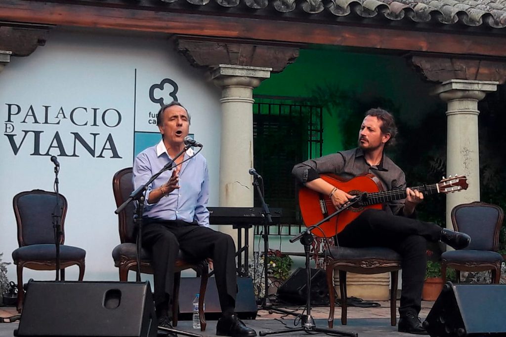 Flamenco en viana - Noche de Estrellas en Viana - Palacio de Viana
