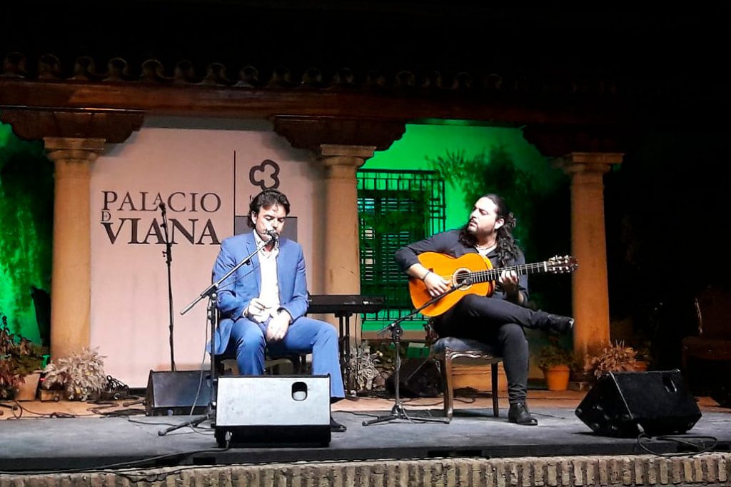Flamenco en viana - Noche de Estrellas en Viana - Palacio de Viana